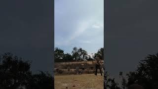 First time cricket ka Maja #cricket #fannyvideo #short #villagelife