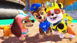 PAW Patrol The Movie - Adventure City Calls - The Great Storm Rescue -Liberty, Chase, Skye, Rubble
