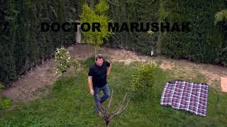 Dr. Marushak. Exercises for the lumbar spine.