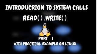 READ() | WRITE() | GCC | LINUX | SYSTEM CALLS | DETAILED | 2024