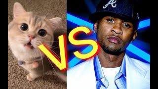 Lil Jon, Ludacris VS DJ Meow Cash Usher - Yeah!