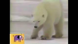 Noggin’s Critter Corner: Polar Bears (Sesame Street)