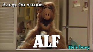 Альф. Він зайнятий. Alf. He's busy. Альф. Он занят. #alf