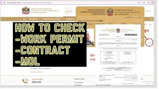 UAE: How to Check Work Permit, Employment Contract, MOL on Ministry of Labour Online using Mobile