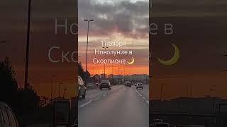 1 ноября новолуние в Скорпионе