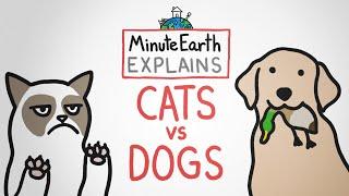 MinuteEarth Explains: Cats vs Dogs