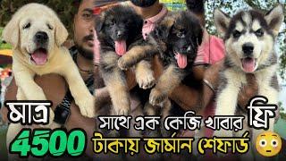 3499 টাকায় কুকুর | Serampore Pet Market | Recent Dog Puppy Price Update | Serampore Dog Market