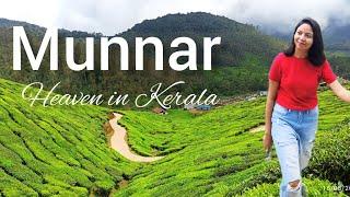 Munnar | Heaven of Kerala | South India | Road trip from Bangalore to Munnar