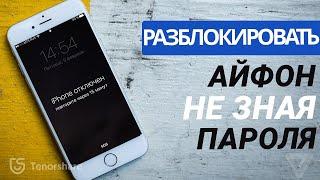 Как разблокировать айфон если забыл пароль? 2 варианта в 2023 году