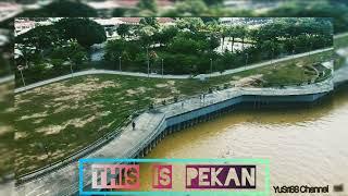 THIS IS PEKAN - AERIAL VIEW