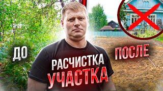 Большая расчистка участка от деревьев и поросли. Снос дома 500м от МКАД