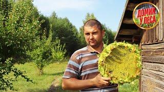 НАША ЖИЗНЬ В ГЛУШИ У ЛЕСА | Привезли много старинных вещей