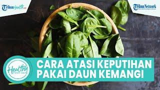 Atasi Keputihan dengan Konsumsi Daun Kemangi, Inilah Sederet Manfaat untuk Kesehatan Tubuh