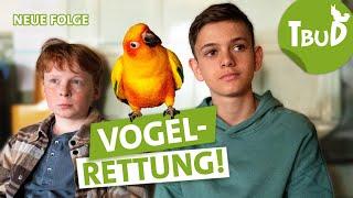 Ein geschicktes Paar (Folge 126) | Tiere bis unters Dach | SWR Plus