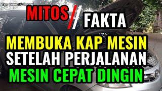 MITOS ATAU FAKTA I MEMBUKA KAP MESIN MOBIL SETELAH PERJALANAN UNTUK MENDINGINKAN MESIN CEPAT DINGIN