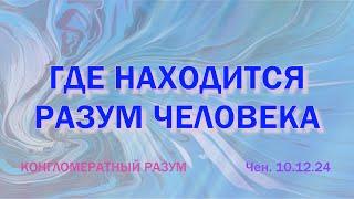 Софоос. чен.10.12.24. Конгломератный Разум. Где находится разум человека.