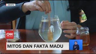 Mitos Dan Fakta Madu