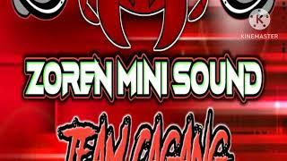 Dj Zoren Mini Sound .disco(2023)