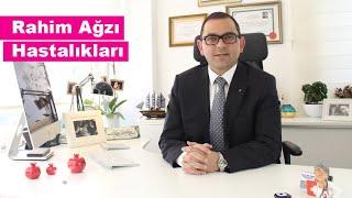 Rahim Ağzı Hastalıkları - Op.Dr.Filip TAŞHAN  / Kadın Sağlığı - 0 532 059 04 89