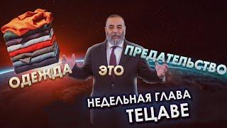 Недельная глава Тецаве/Рав Давид Юшуваев/Тора Ми Цион