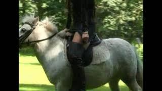 Pony Riding #pony #ponyriding #donkey #donkeyriding #Buffaloriding