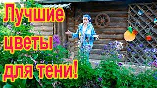 Теневой цветник - какие цветы можно посадить