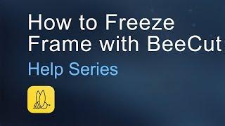 How to Freeze Frame with BeeCut