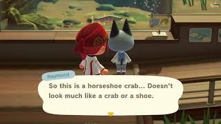 Animal Crossing: New Horizons - Raymond commenting on horseshoe crab and on fish in general