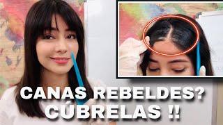 CANAS REBELDES | COMO CUBRIR CANAS | ABLANDADOR DE CANAS