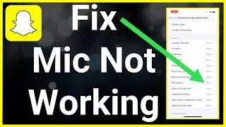 How To Fix Microphone Not Working On Snapchat
