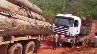 DANGEROUS BIGGEST Wood TRUCKER Off Road Accident   SUPER TRUCK Wood Working