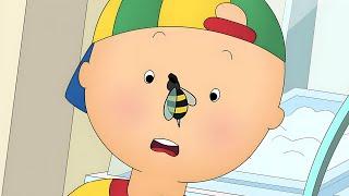 Caillou and the Bee | Caillou's New Adventures