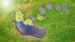 Building a Wildlife Pond | Transforming Pine Stand (ep.2)