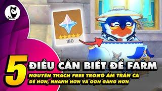 5 Lưu Ý Có Thể Newbie Không Biết Giúp Farm N.Thạch Ấm Trần Ca Đơn Giản, Nhanh Gọn Lẹ Hơn