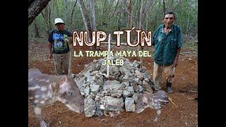 NUP-TÚN, la TRAMPA ANCESTRAL de los MAYAS para capturar al JALEB.