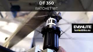  DT Swiss HUBS SOUND: 180 EXP, 240 EXP, 350 + Ratchet 18/36/54T