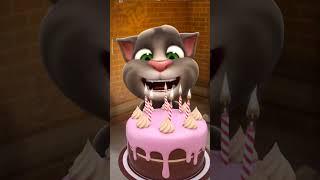 cute cat bili happy birthday cat #shorts #viral #youtob #shortsvideo #