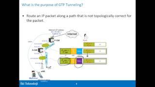 GTP Primer