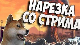 Собака стример - нарезка смешных моментов | дота не затянула