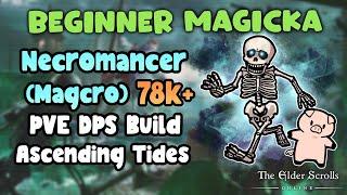 ESO Beginner Magicka Necromancer (Magcro) 78k+ PVE DPS Build Ascending Tides DLC