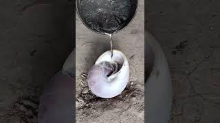 Aluminum Snail Shell - Unique Casting From Scrap Metal shorts #viralvideo #restoration #reels