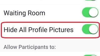 Meeting Hide All Profile Pictures in ZOOM Could Meetings