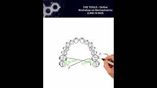 The Six Geometries with TPA | Essential Biomechanics