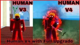 Getting Human V4 with Full Upgrade ( Guild ) + Showcase In Blox Fruits