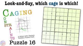 Can you capture the Sudoku Constraints into the correct cages?