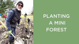 How to Plant a Mini (Miyawaki) Forest | National Mini Forest Pilot in Canada