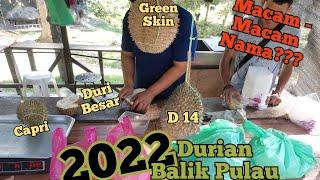 Durian Balik Pulau 2022 || Macam-Macam Nama Tauke Cina Ni Bagi || Sedap Surr #durian #penang