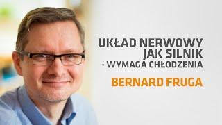 Układ nerwowy jak silnik - wymaga chłodzenia - Bernard Fruga