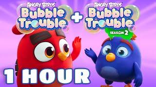 Angry Birds Bubble Trouble | Season 1 & 2 ALL Episodes Mashup ⭐