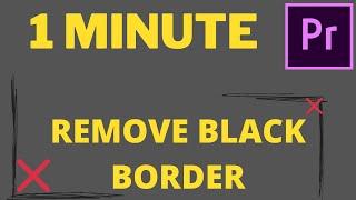 Premiere Pro CC  How to Remove Black Border Around Video 2021